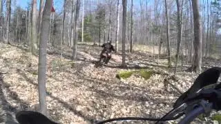 Bummers roost May 2015 2