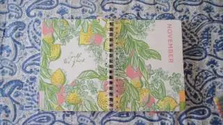 Organizing my Lilly Pulitzer Agenda