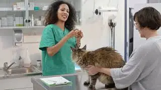Marine and Fraser veterinary Clinic Vancouver