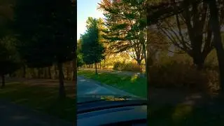 Bass jumps gone Fall fishing relax cigar coffee St. Croix Legend sweet small mouth bass