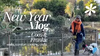 Cozy January Reset 🌿 Walks, Winter Crafts & Sugar-Free Comfort Cooking with Coco & Frankie