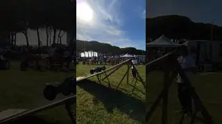 Arrma Kraton 8s Jump🚀😎 #arrma #arrmakraton8s #rcjumps #bashingrc #rc1/5 #rc8s #arrmatough #arrmahof