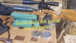 ROii receiver + NB barrel using FX pellets @ 26 yards & 52 yards