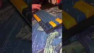 Mod foam board no GK61 com keycaps Akko Macaw.