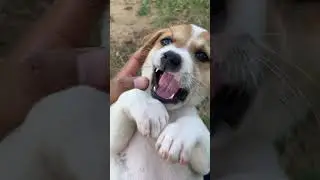 My name is Tutu❤️ please subscribe me☺️