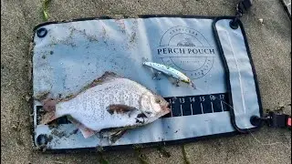 Я поймал свою первую краснохвостую окуньку! + Okuma Rockaway против Rockaway SP