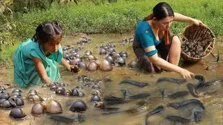 Catch fish and snail for food/ Grilled fish & cooking duck spicy. Snail recipe tasty delicious