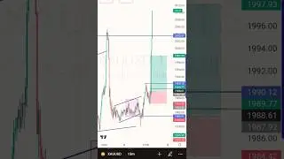 5 Tips for Successful Forex Trading | Expert Advice for Beginners... read the description