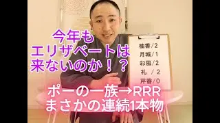【宝塚歌劇団】次のエリザベートはいつ？どの組？～歴代トップの1本物から考察