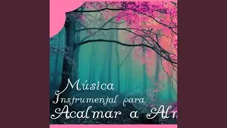 Música Instrumental para acalmar a alma (Instrumental)