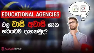 Advantages and Disadvantages of Educational Agencies | Pros & Cons Explained for Students