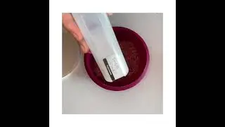 Pranzo a tutto tondo con Tupperware. Cucchiai Dosa e Sforma, Foglio in Silicone, UltraPro