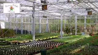 Gardeners Delight Nursery, Gardening in Barnstaple