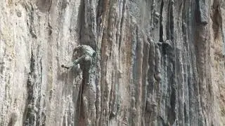 Buf! - 7a