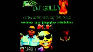 Dj gully