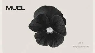 MUEL #69: Midnight Promises Mix | Emotional Electronica for Nighttime Listening