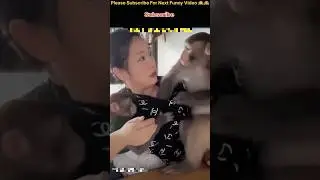 Monkey and Girl Funny Epic Moment 😂 | Viral Shorts 2025 #funny #animals #comedy #monkey #shortvideo