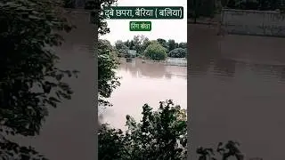 🙏🏻🙏🏻 #dubeychhapra #ballia #ballianews #shortsfeed #flood #newstoday #shorts  #livenews