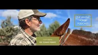 WH134 | A whole horse perspective on veterinary care with Dr. Tomas Teskey