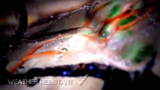 GO Wild Camo | Weather Resistance Camo Hunting Clothing