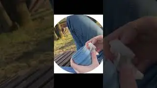 Срочное сообщение владельцам чашек Stojo