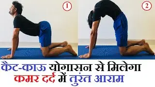 कमर दर्द को तुरंत ठीक करेगा मार्जरी आसन : Practice Cat-Cow Pose to Relieve Back Pain.