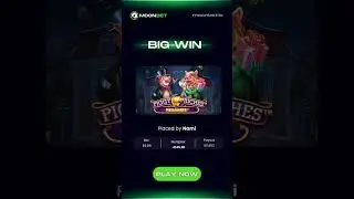 Big slot win 😱