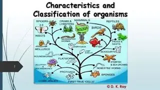 Classification of organisms mcq #ViralEducation#TrendingStudyBiologyMCQ#CompetitiveBiology