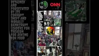 Babylon System By Bob Marley And The Nigerian Tragedy #greenscreen #bobmarley #africaunite