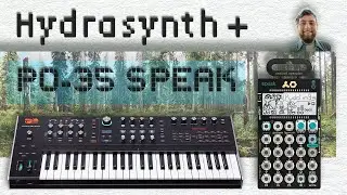 Hydrasynth (keyboard) + Pocket Operator PO-35 Speak jam