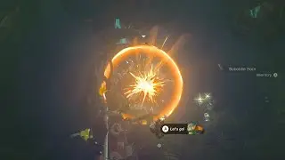 Not the best time to be gathering brightbloom seeds (or to miss a headshot)