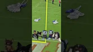 We Saw FAU HALFTIME WITH THE PETS......😲