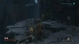 Sekiro&trade;: Shadows Die Twice Shortcut?
