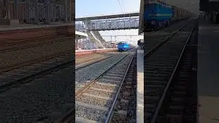 WAG-7 full speed #railway #locomotive #indian #railway #shorts #status