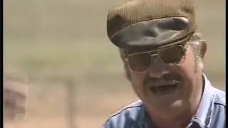 Apanhados - Trabalhos forçados