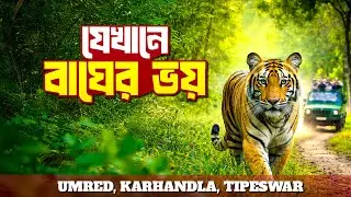 প্রথম বাঘ দেখা | Umred Karhandla Tipeshwar Wildlife Sanctuary | Tiger Safari | Meghpeoner Vlog