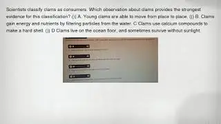 Scientists classify clams as consumers. Which observation about clams provides the strongest evidenc