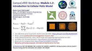 CompuCell3D WS 2025: 1.2: Introduction to Cellular Potts Model/GGH [Pedro dal Castel] July 29, 2025