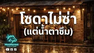 โซดาไม่ซ่า (แต่น้ำตาซึม) | เพลงอกหักในร้านเหล้า