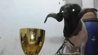 كم كان سعر الكوبرا 2017 😱 100 مليون 🏆