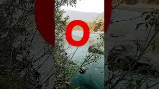 #shorts #short #viral #omg #shortsviral #топ #trap #reels #revar