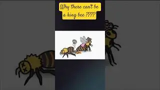 why can't there be a king bee ??? # shots # viral shots #facts #biology #education #bee