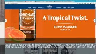 (913) 203-4252 Small Business Website Agency in Kansas City MO