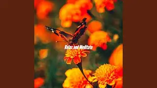 Lovely Movement Moments