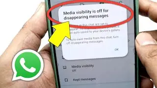 Media Visibility Is Off For Disappearing Messages | Media Visibility In Whatsapp