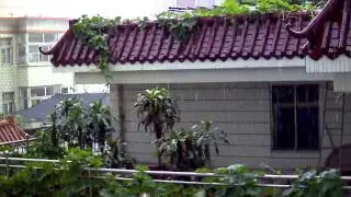 KIIRIE 2.0 Megapixel IP cam Video.avi - Raining day