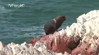 PERU.COSTA.SIERRA.SELVA FULL HD