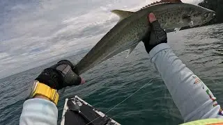 COSTA RICA Inshore Kayak Fishing