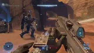 Halo Infinite - Firefight x CTF x Slayer | Livestream