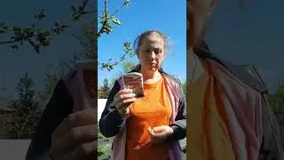 удобрение надо на пролитый грунт #дача #клубника #поливалка